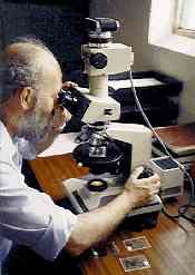 Microscopic Examination Of Thin Sections